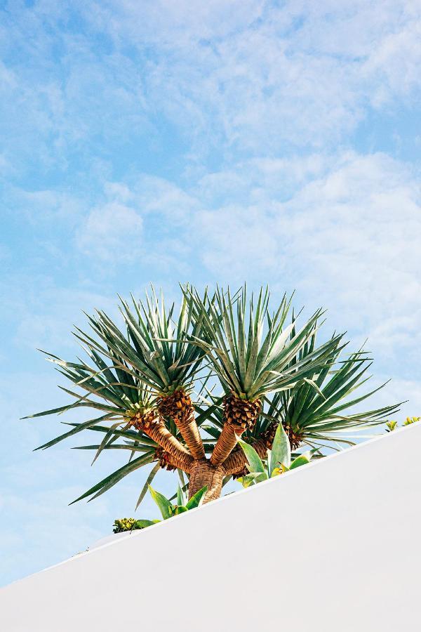 Hotel The Surf Yamba Esterno foto